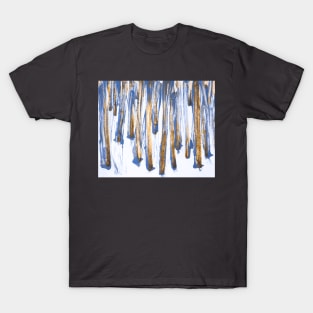 Blue sunshine true the trees T-Shirt